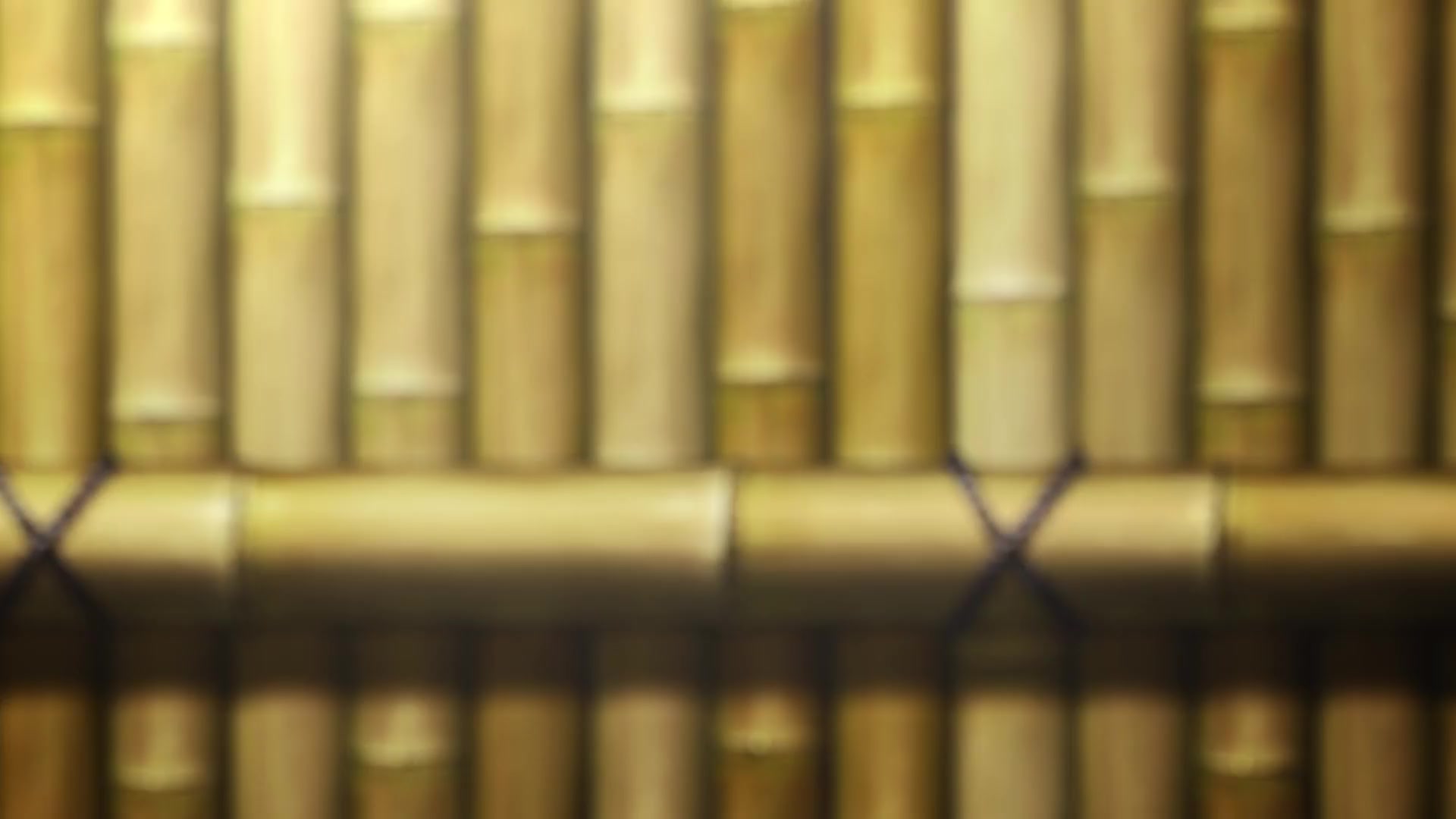 [Tsukyio Editing Resources] Demon Slayer (Mugen Train) Raw Clips (397) (tsukyio.com).mp4